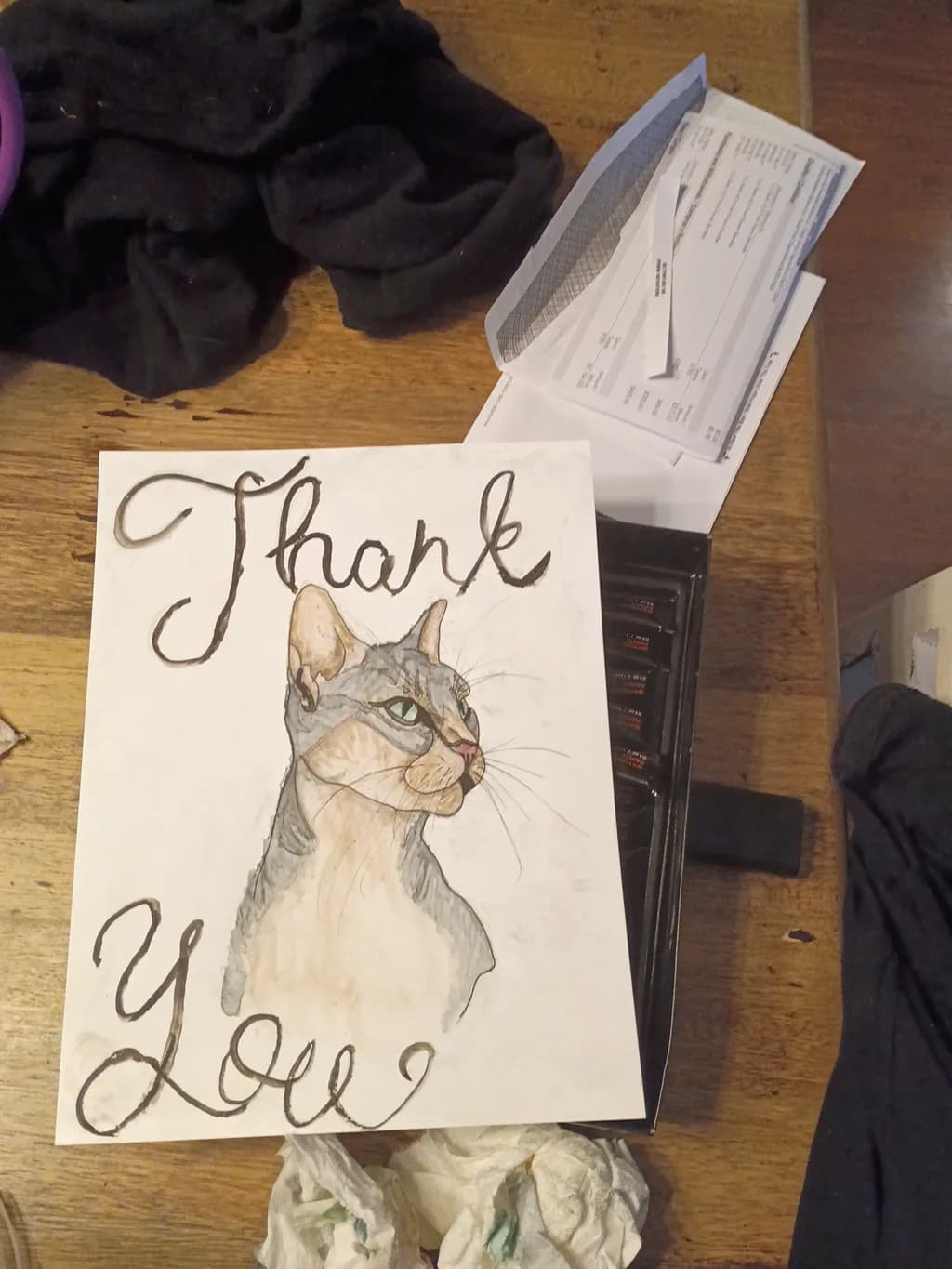 Cat Gratitude