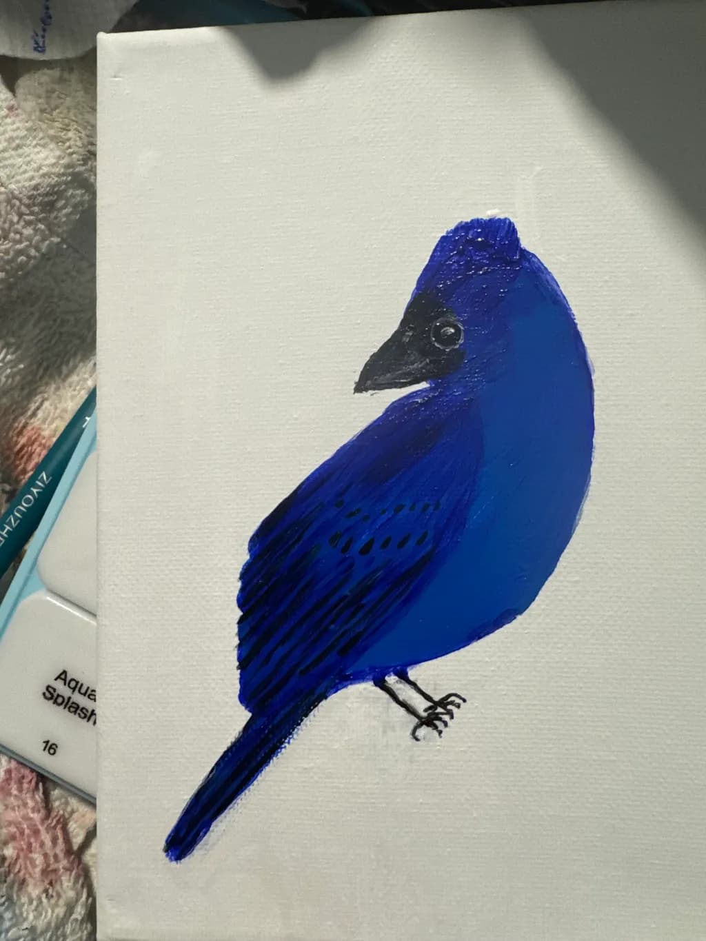 Blue Jay Profile