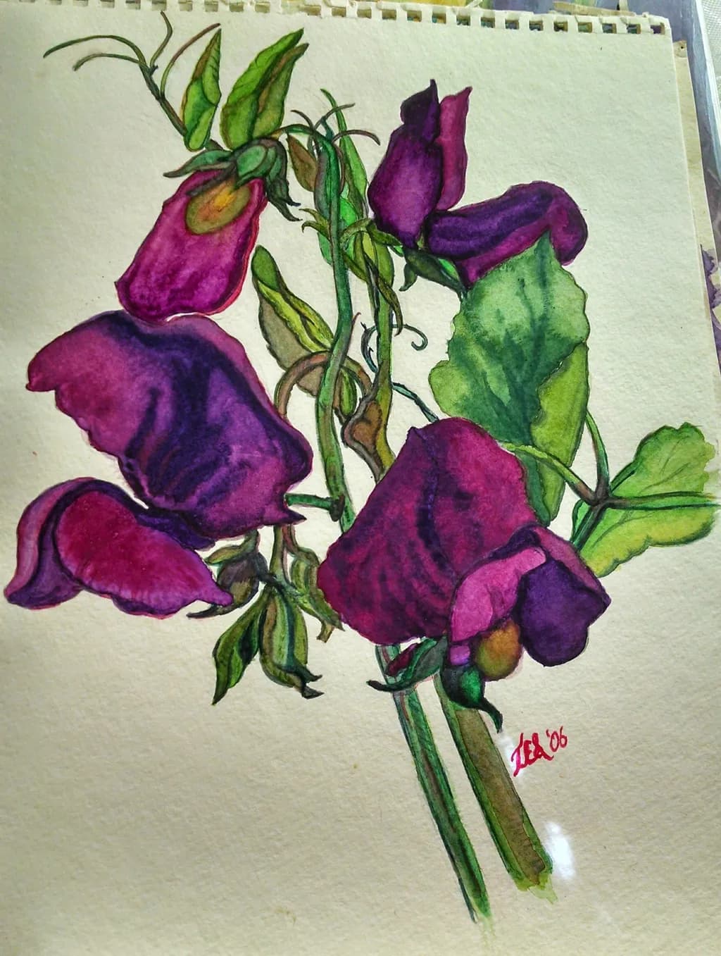 Twining Purple Blooms