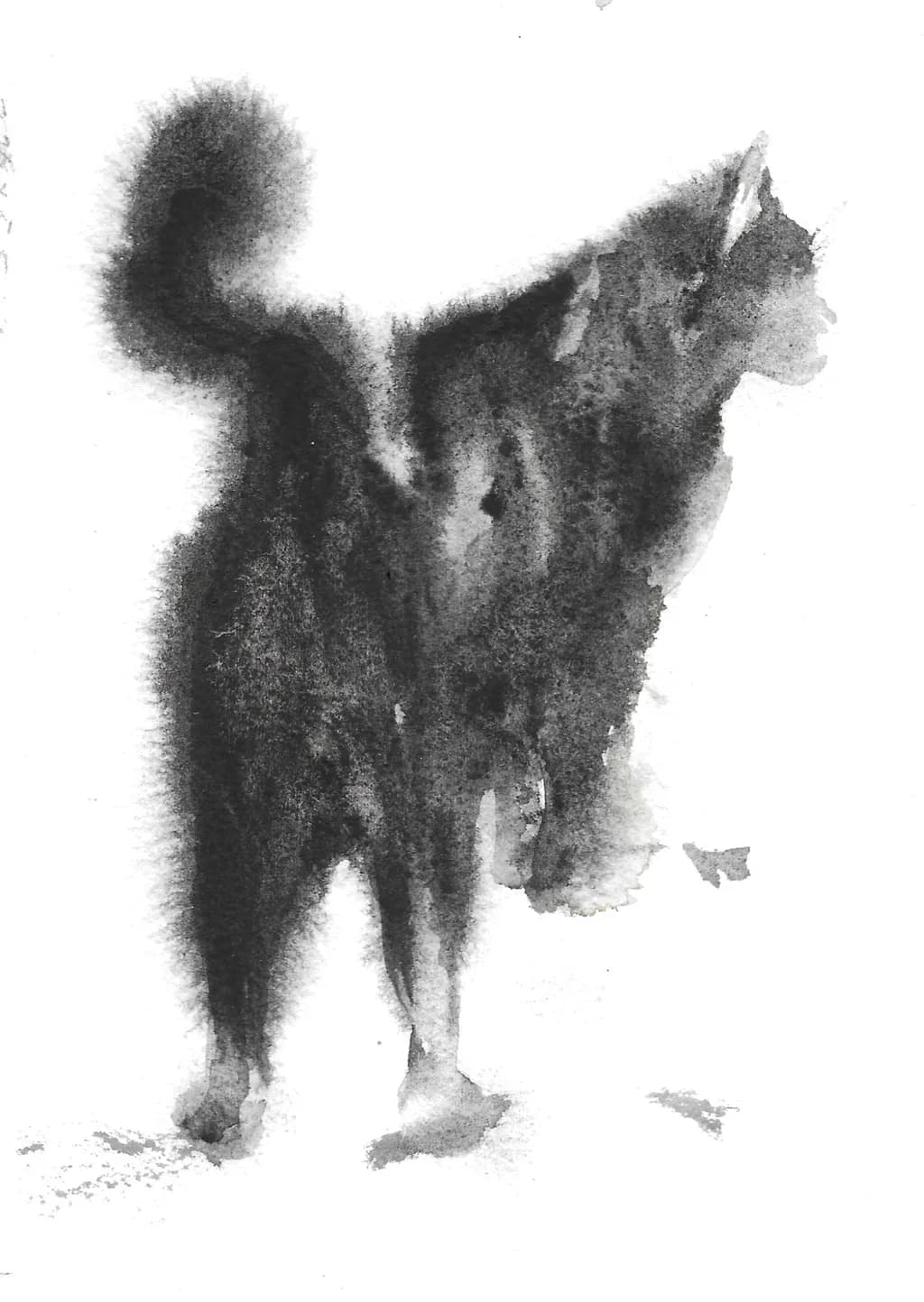 Standing Cat Silhouette