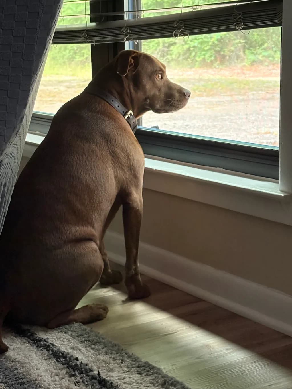 Waiting by the Window