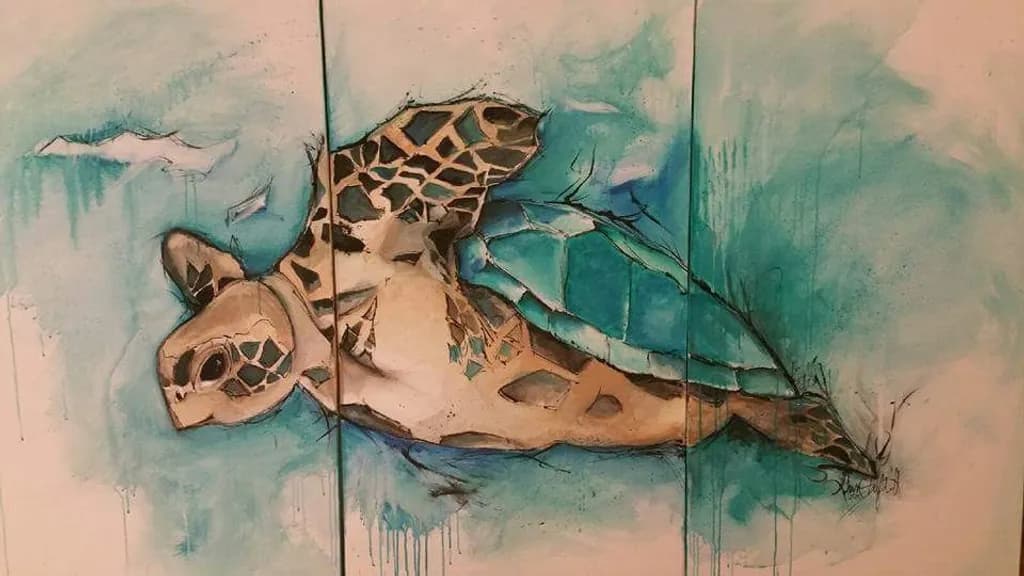 Fragmented Turtle