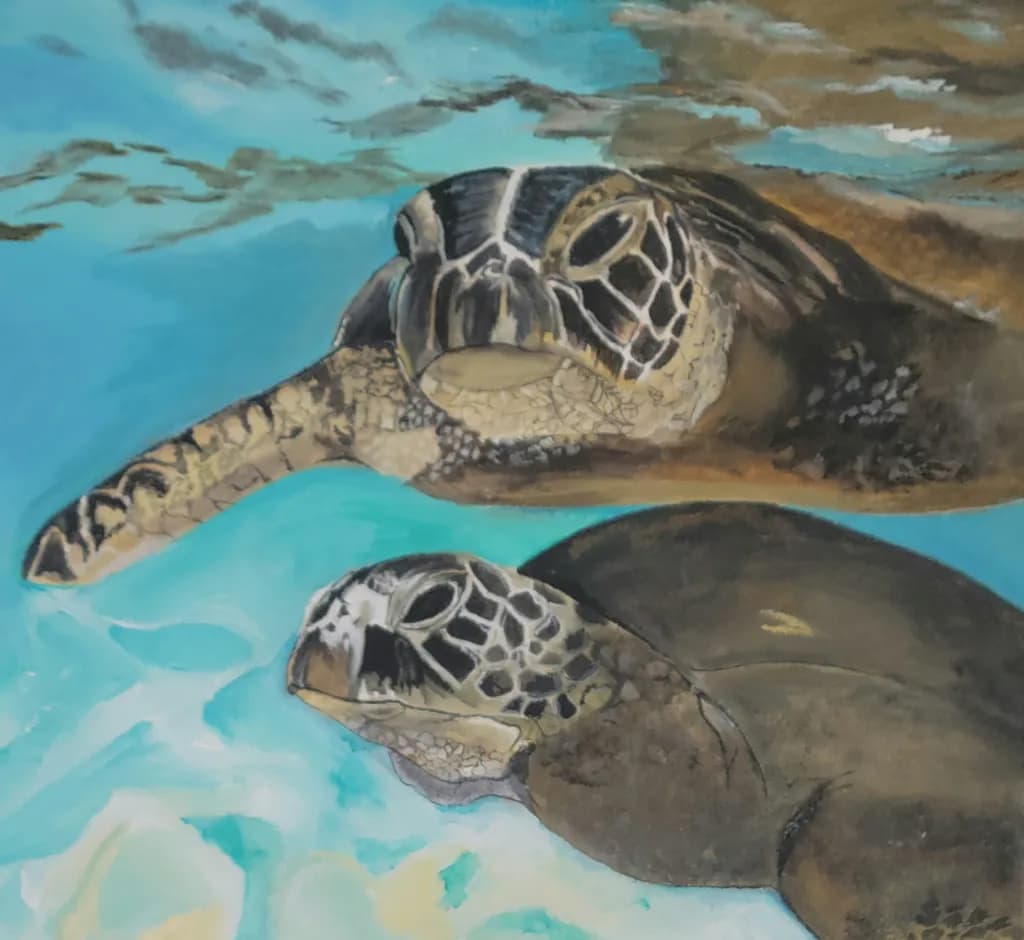 Twin Turtles