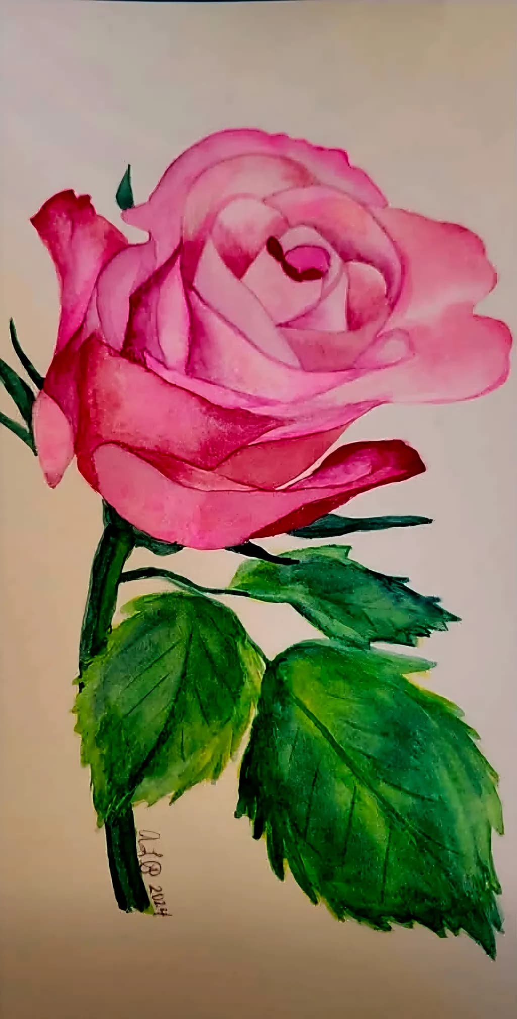 Blushing Rose