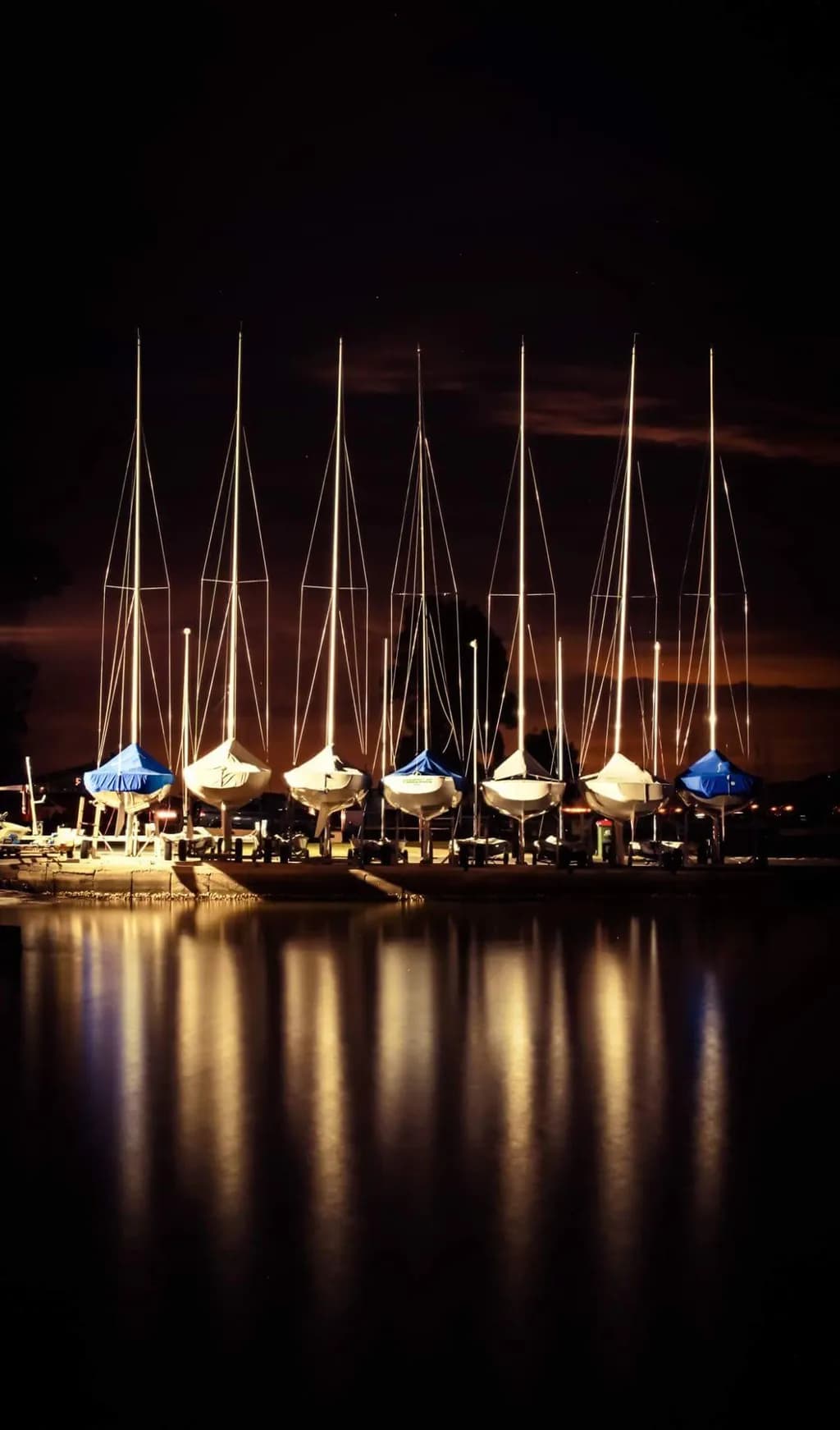 Marina Silhouettes