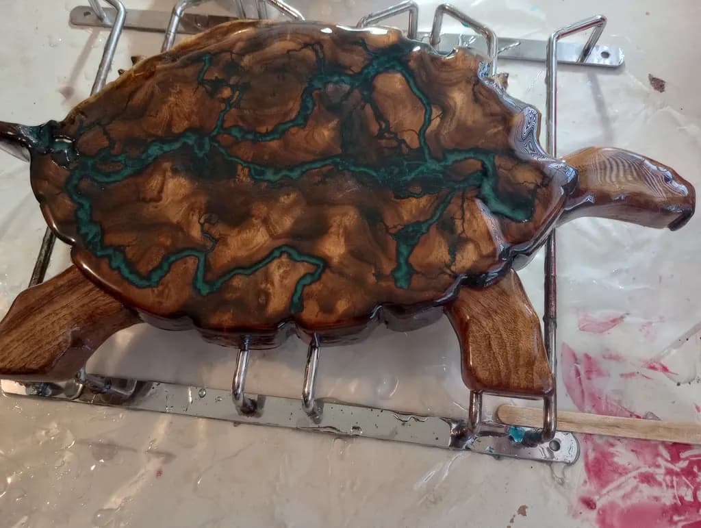 Turtle Stream