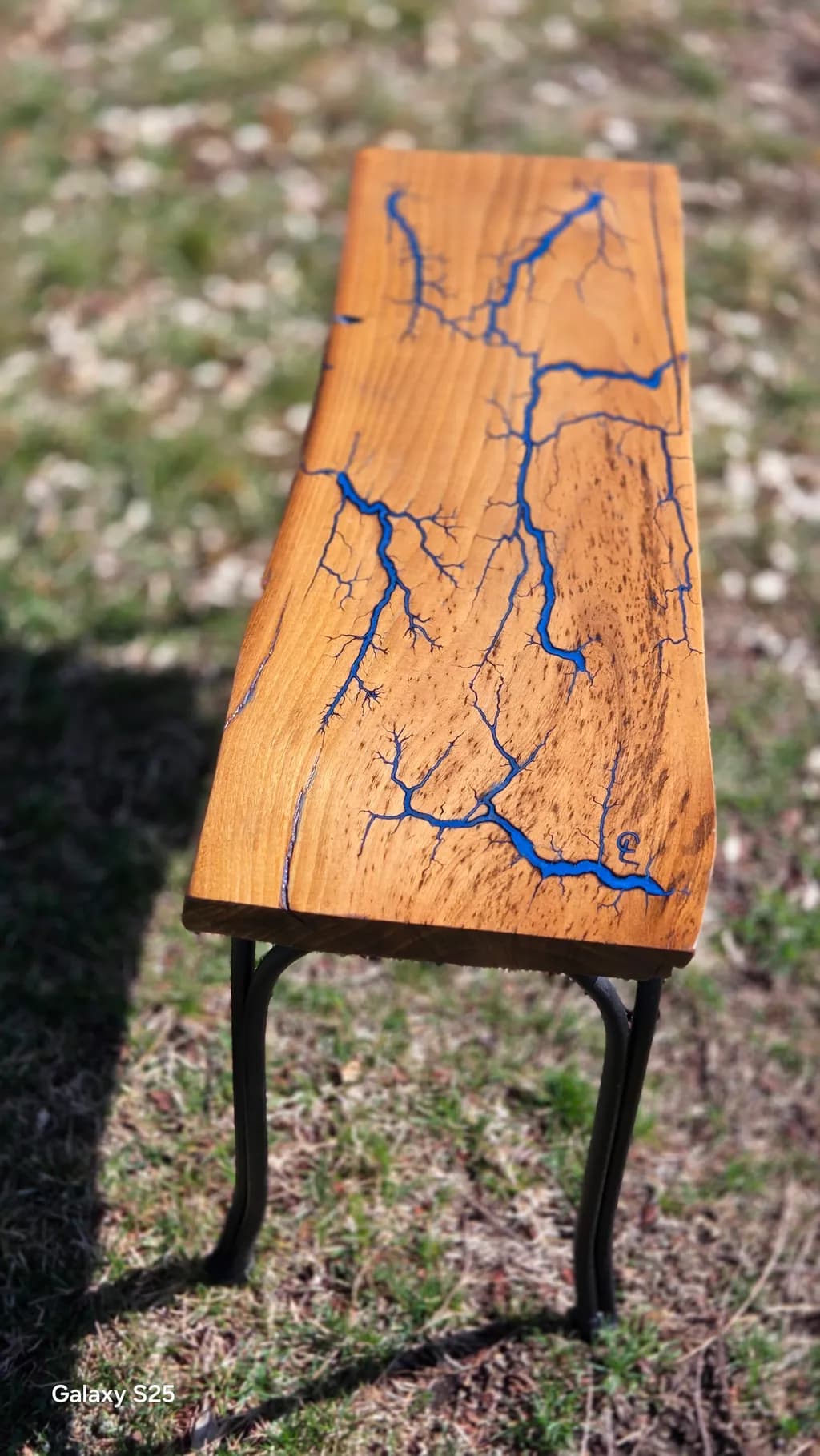 Electric Veins Bench