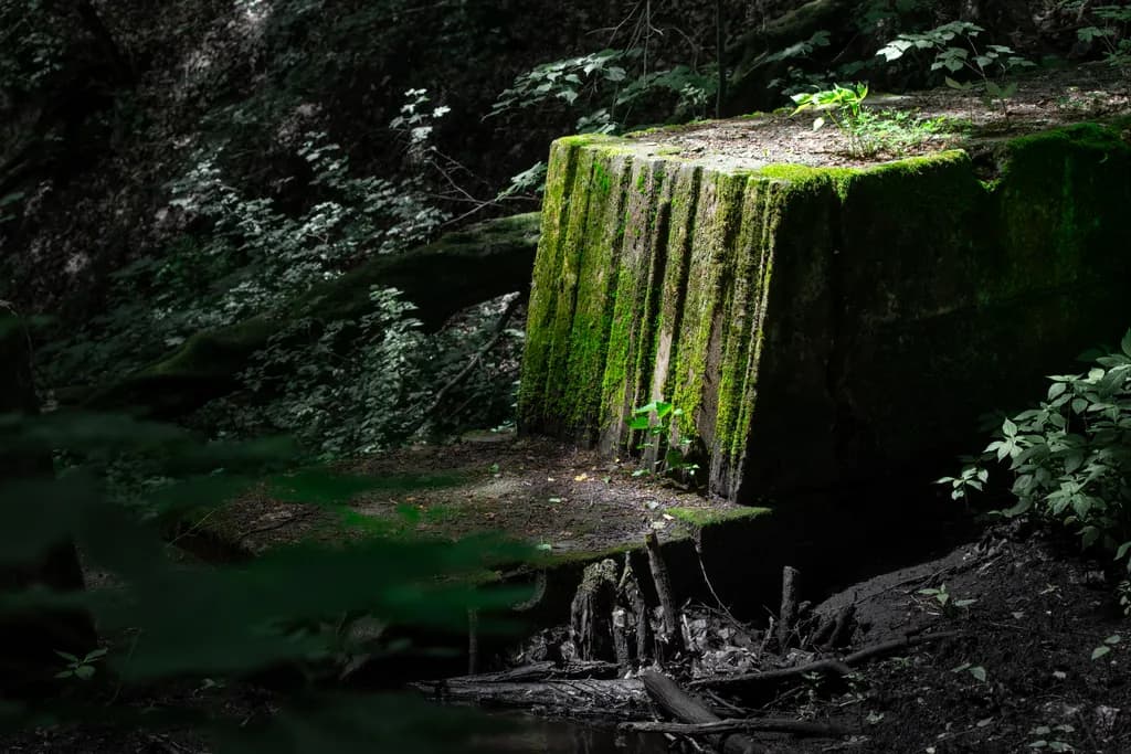 Mossbound Relic