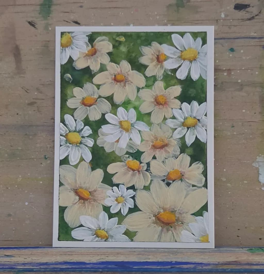 Mixed Daisies