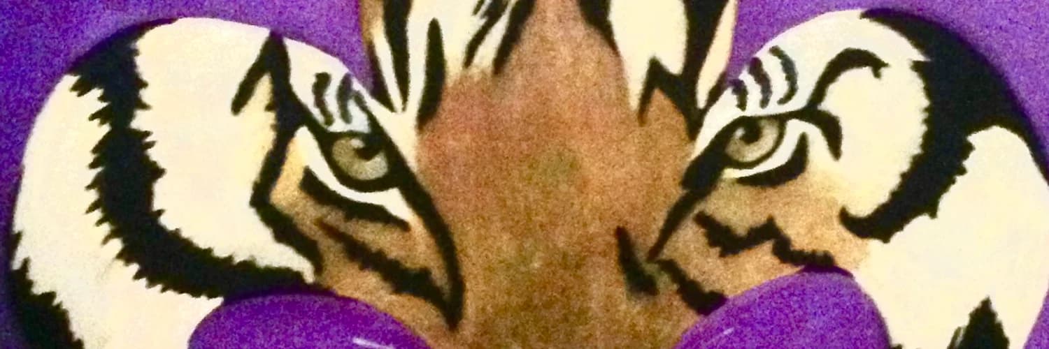 Banner del perfil