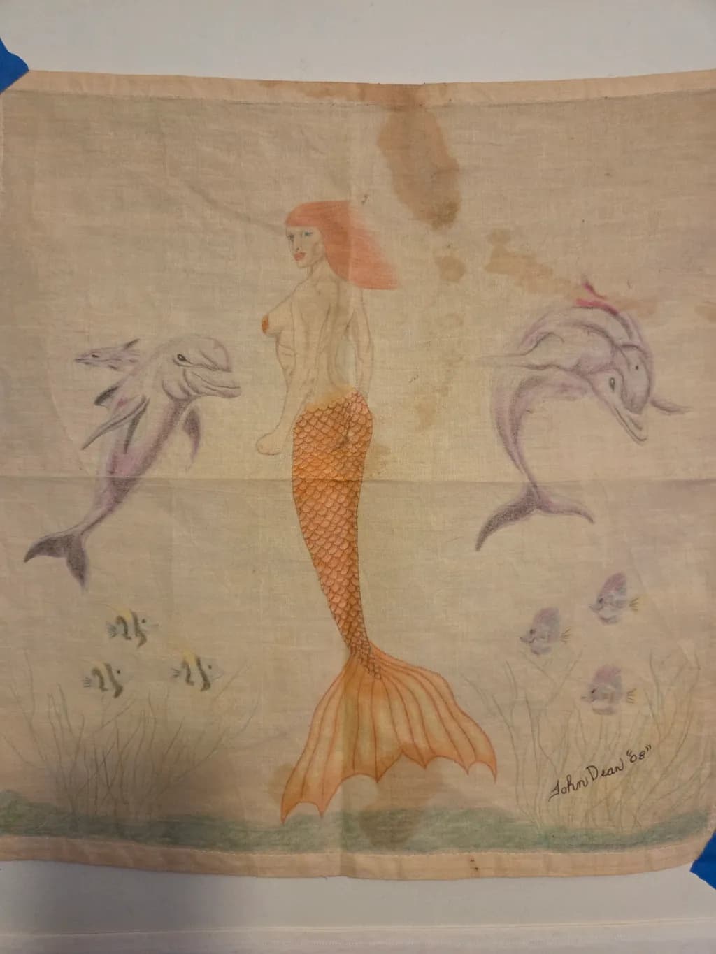 Mermaid Encounter