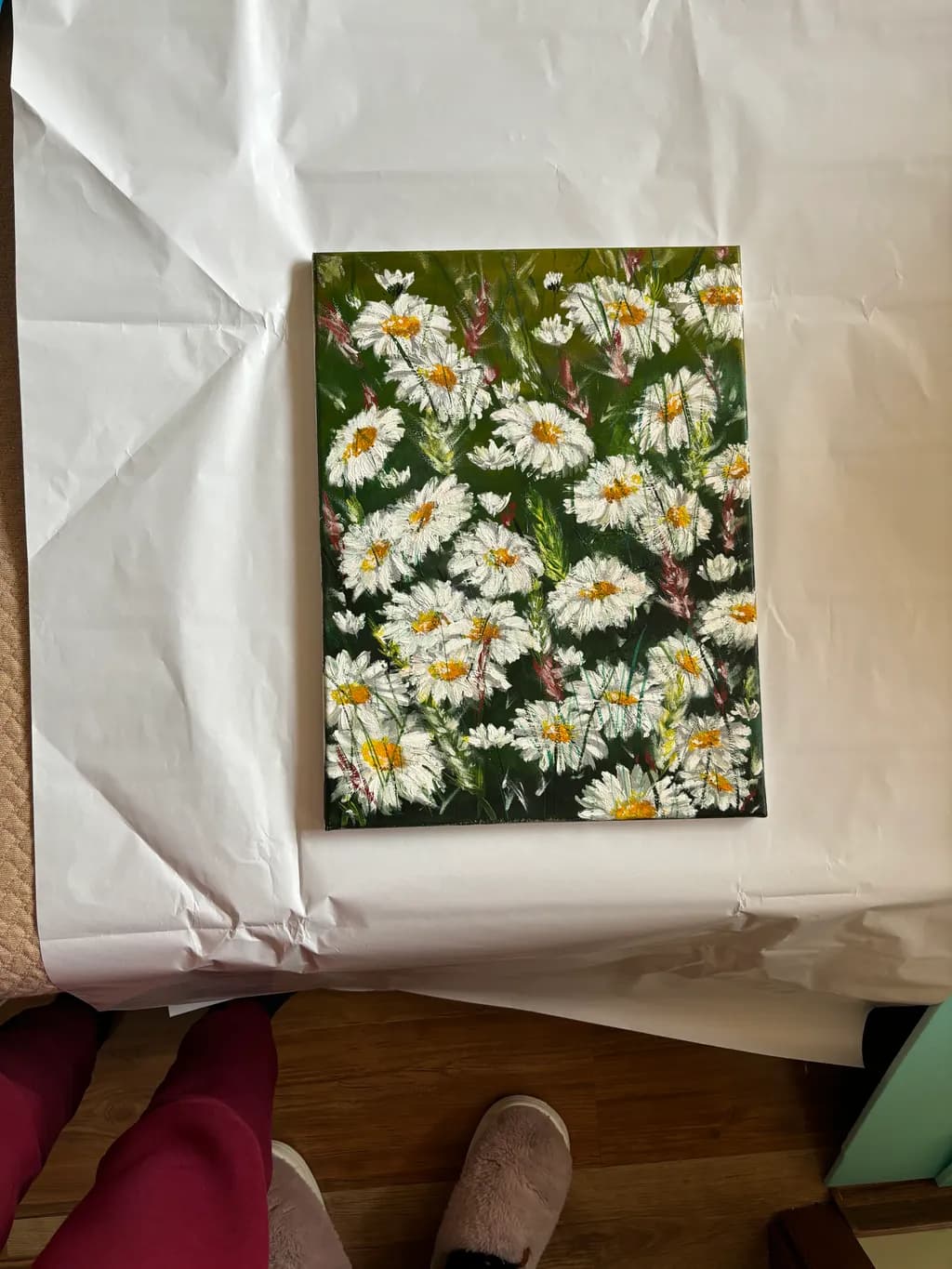 Daisy Field