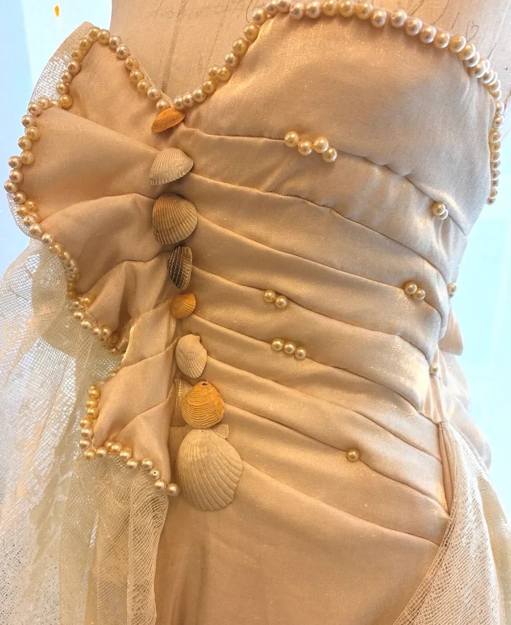 Seashell Elegance