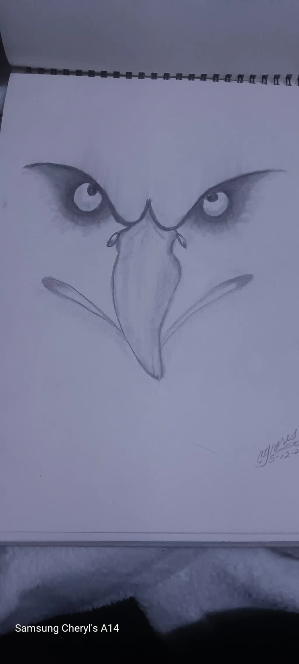 Fierce Gaze