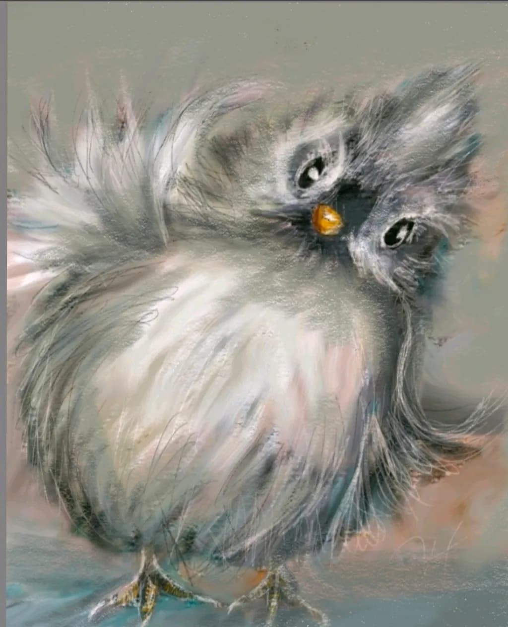 Fluffy Gaze