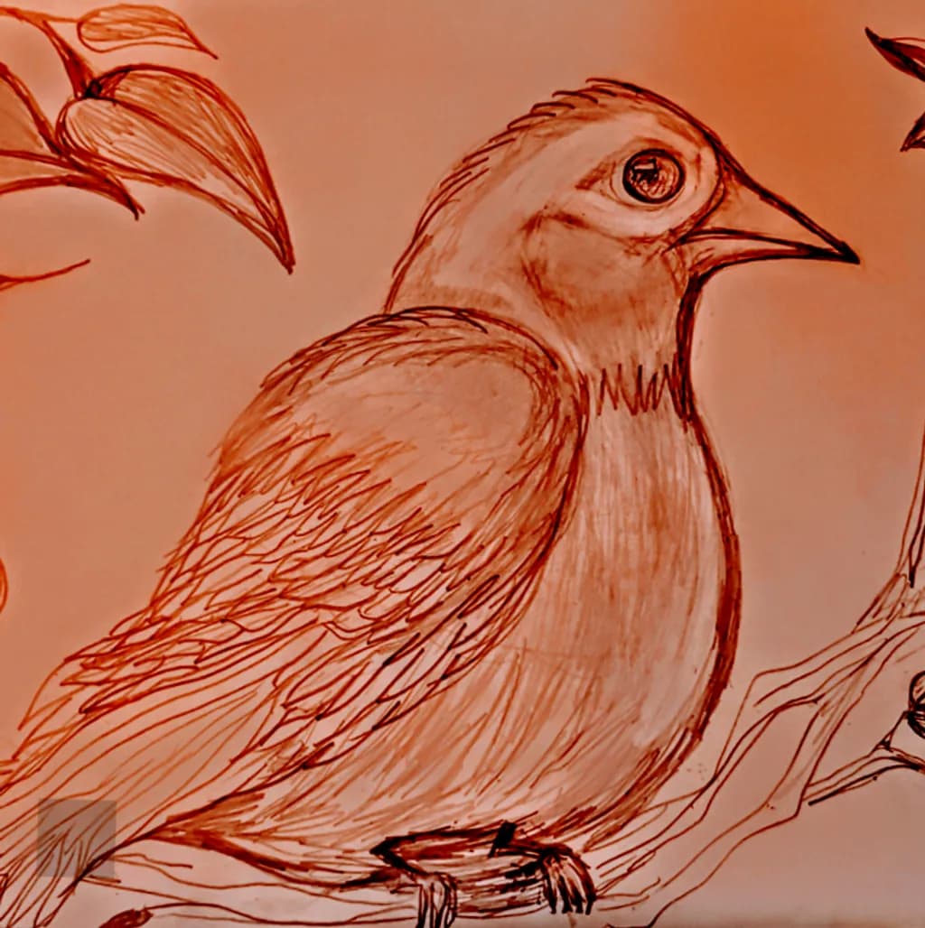 Perched Feathered Sketch