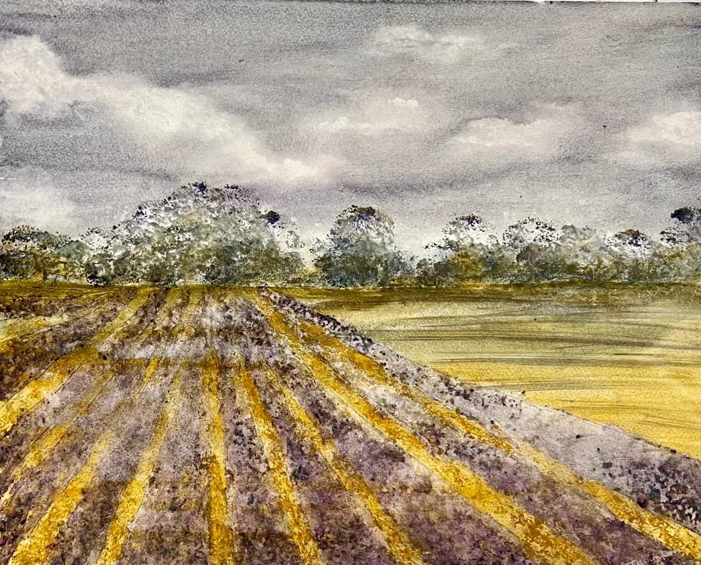 Harvest Horizon