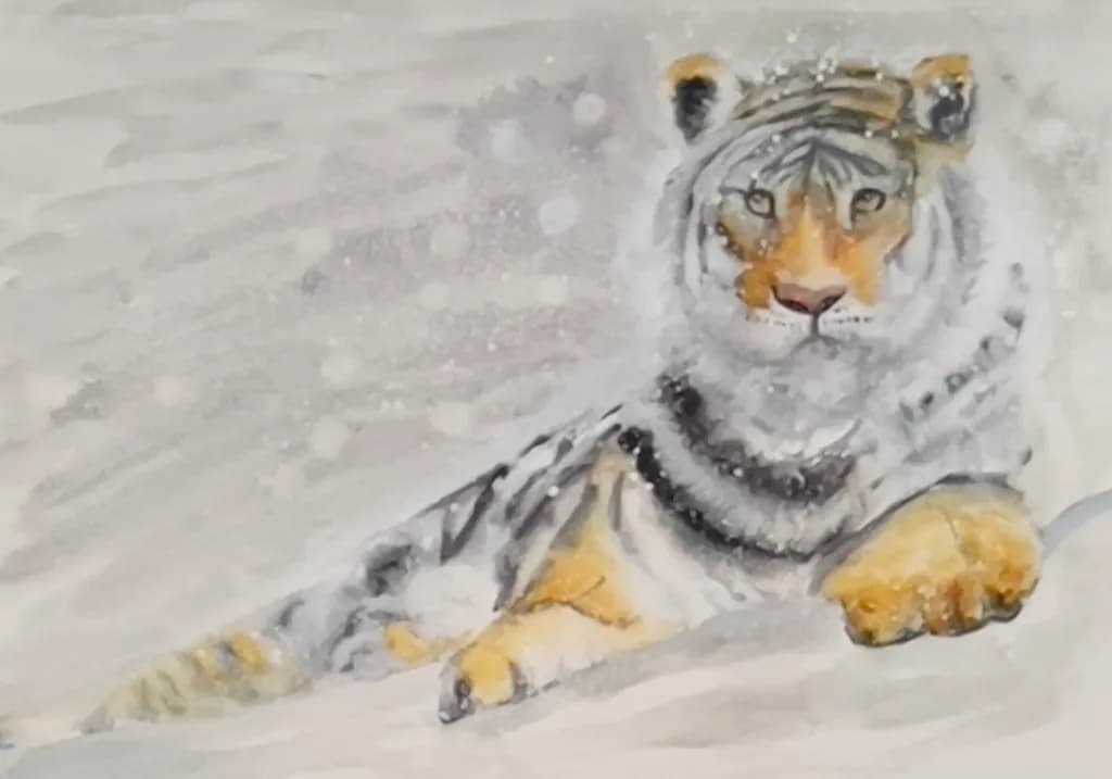 Winter Tiger Rest