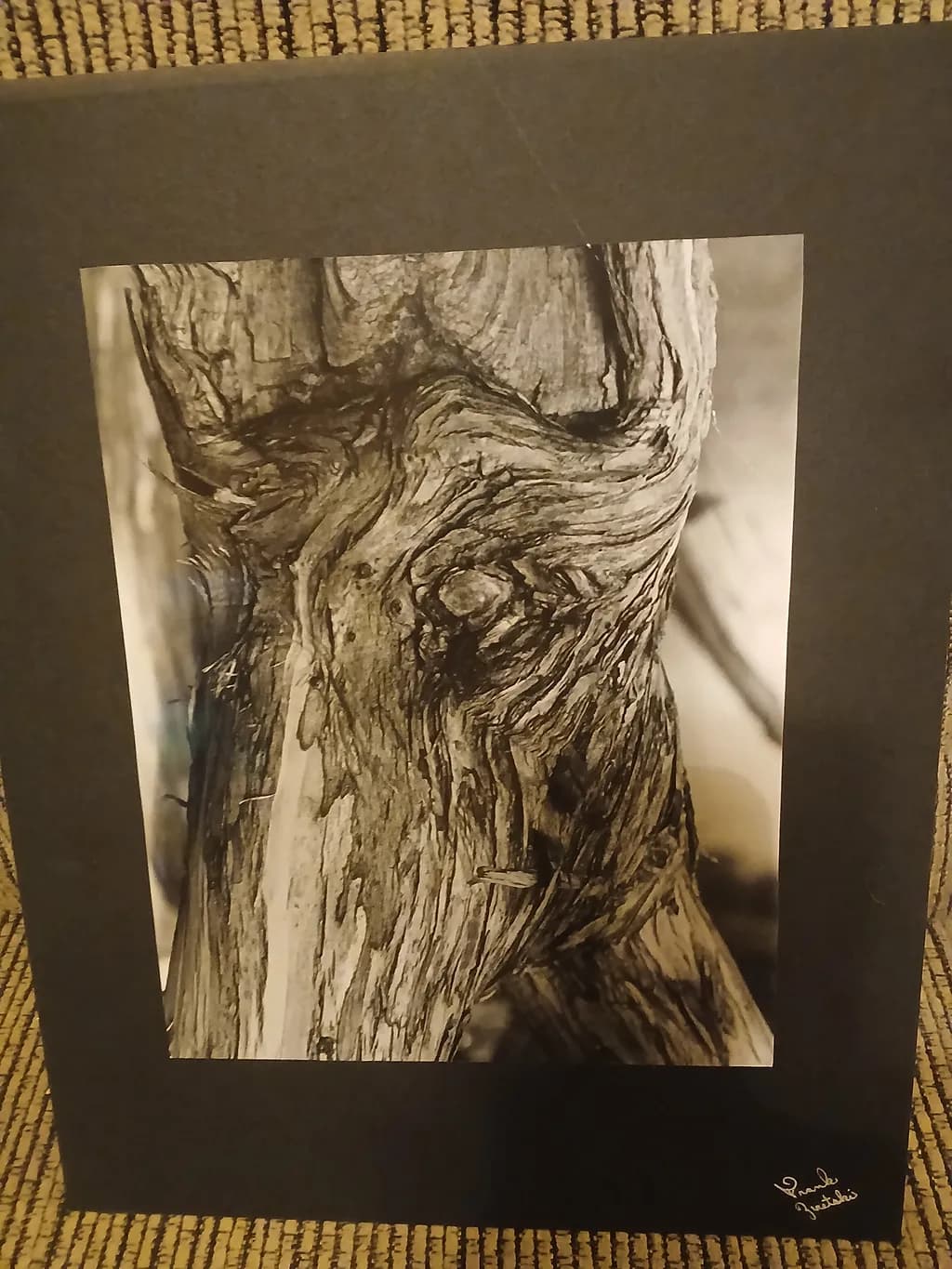 Twisted Grain
