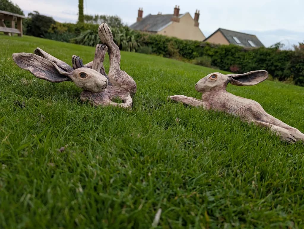 Playful Hares
