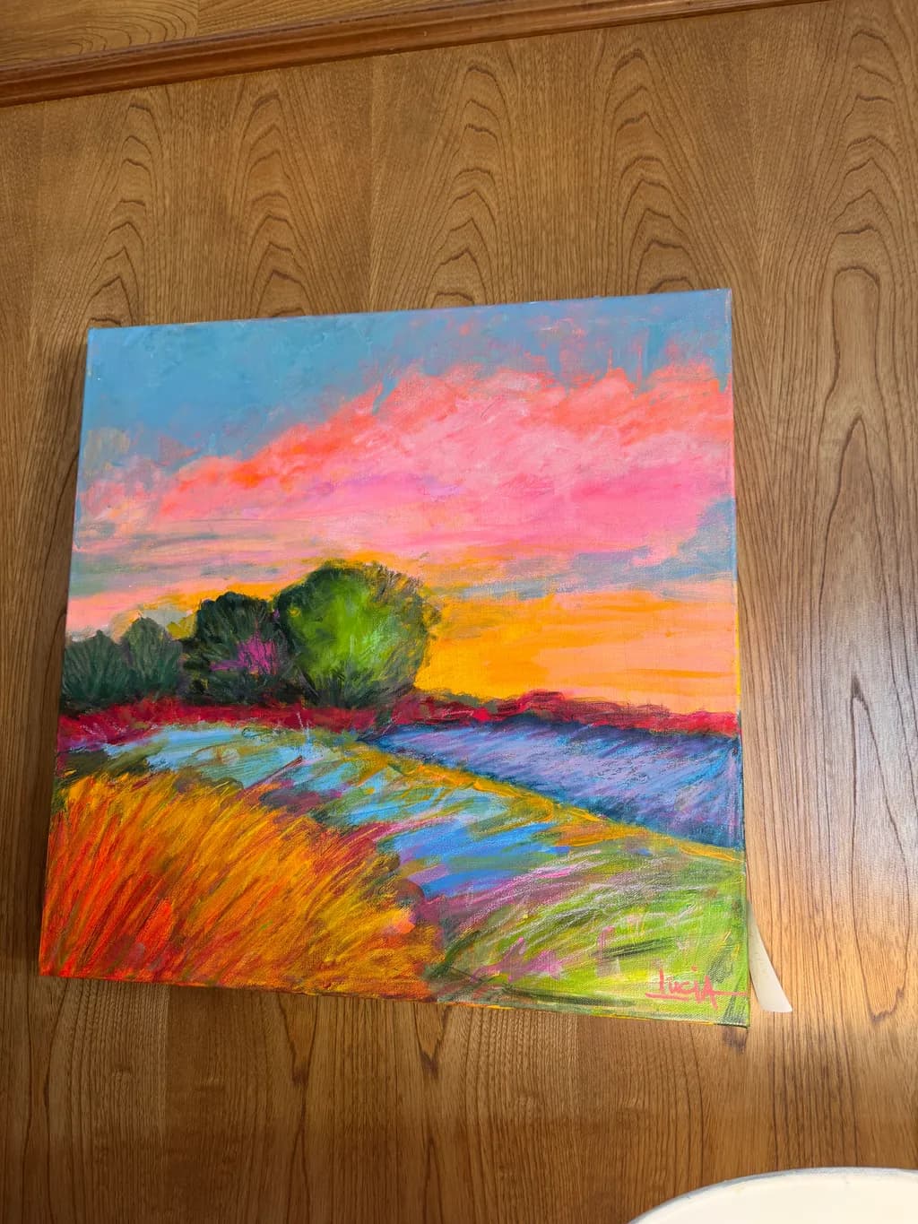 Sunset Fields