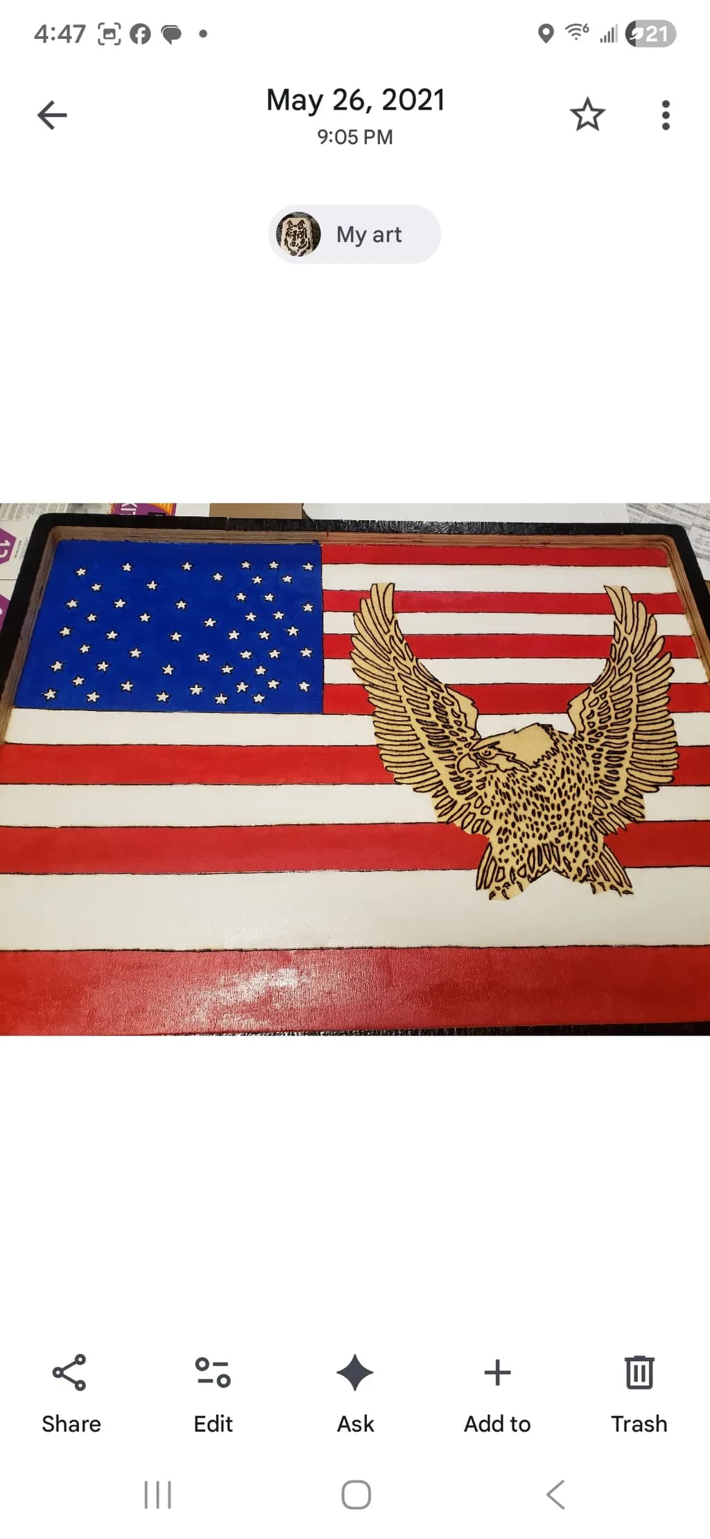 Patriotic Flight