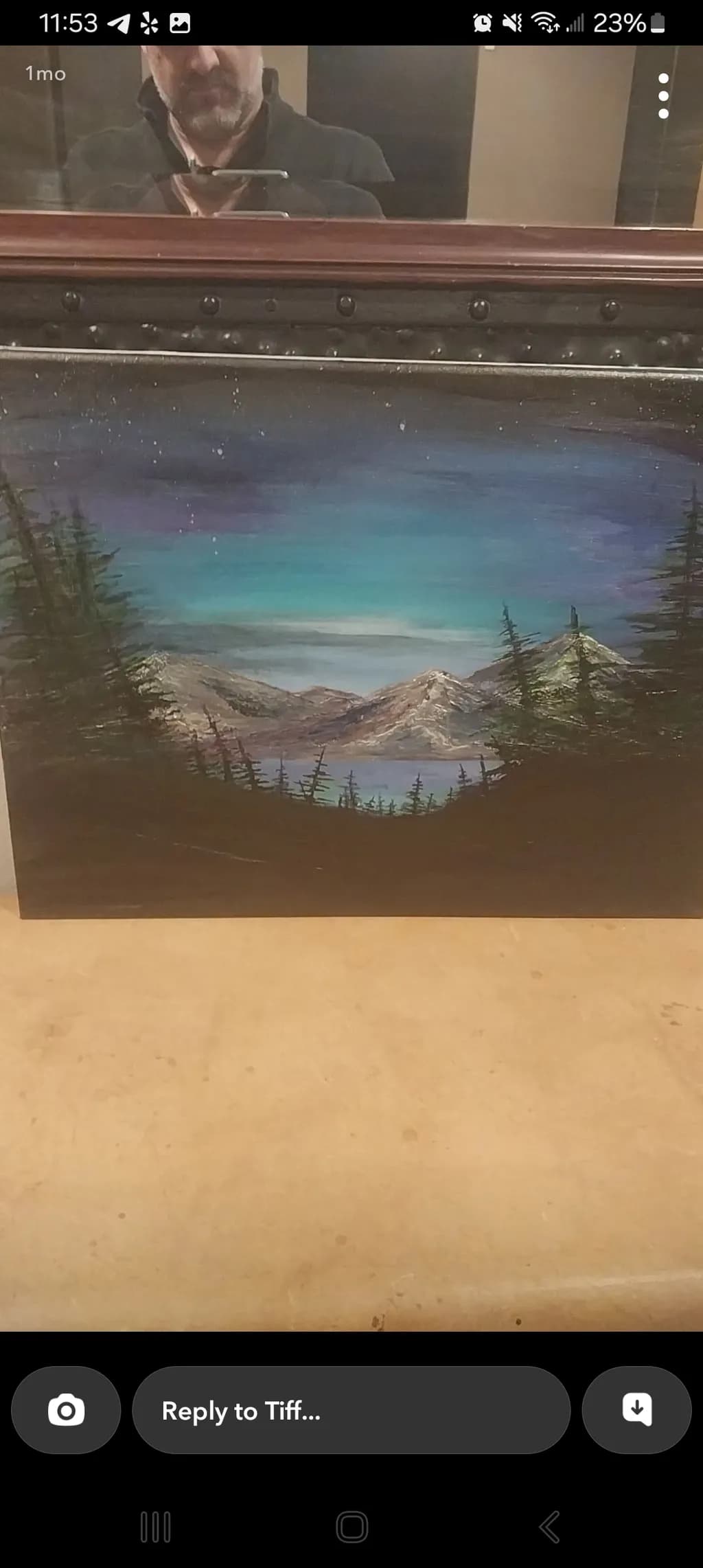 Mountain Twilight Vista