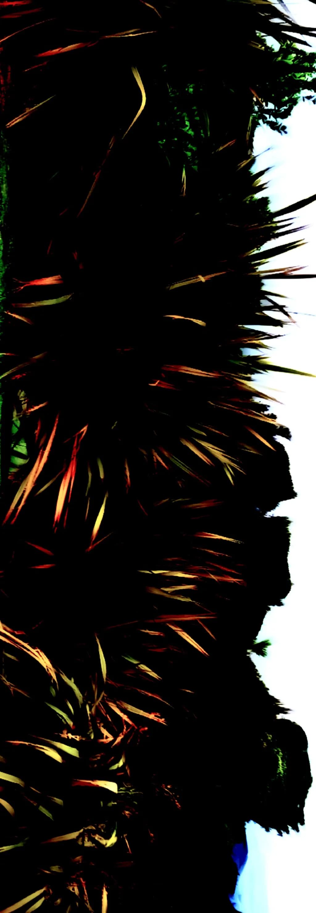 Spiked Shadows