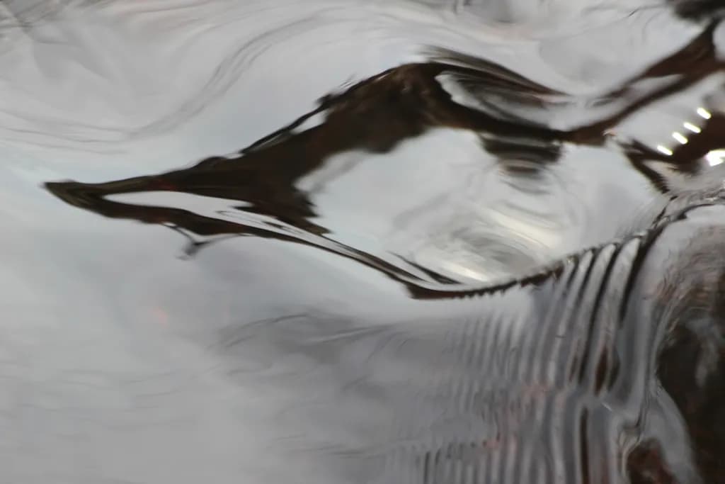Liquid Echoes