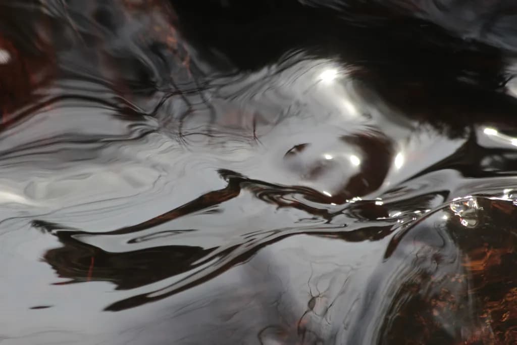 Liquid Mirror