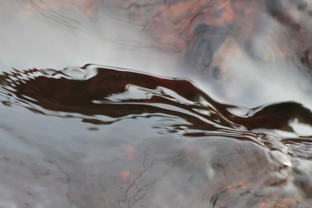 Liquid Mirage