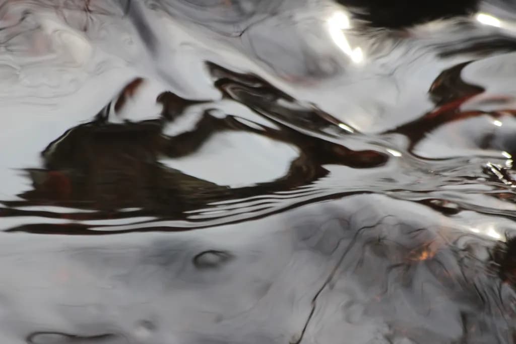 Liquid Reflection