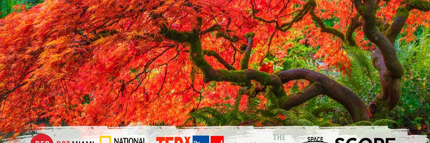 Profile banner