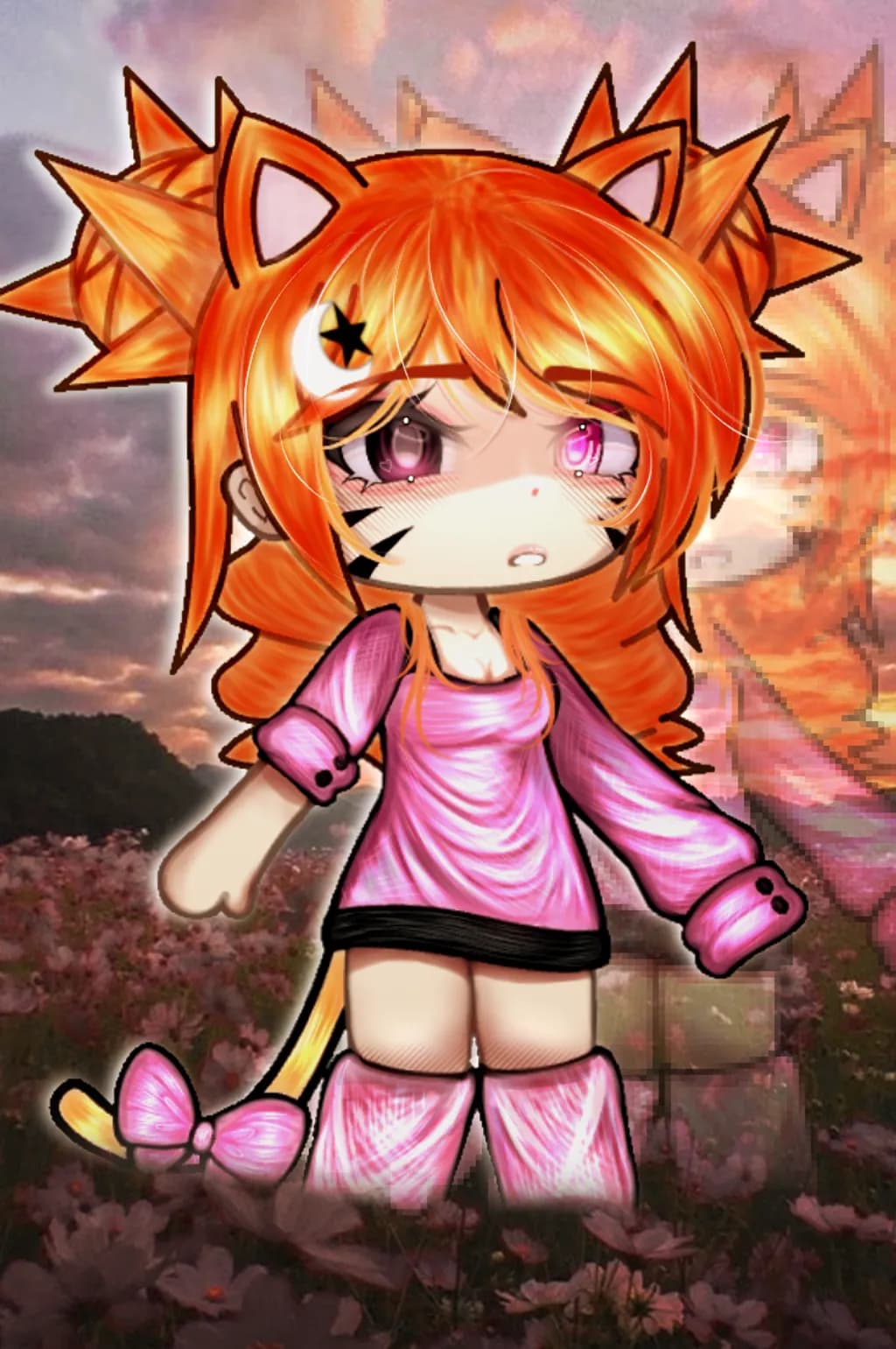 Amber Twilight Kitten