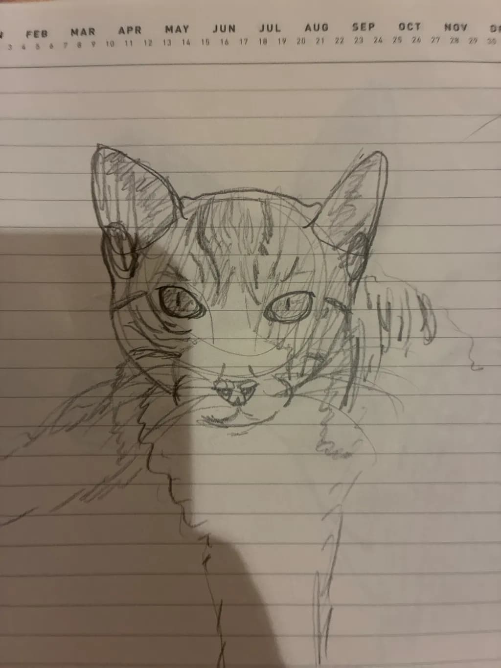 Striped Cat Portrait