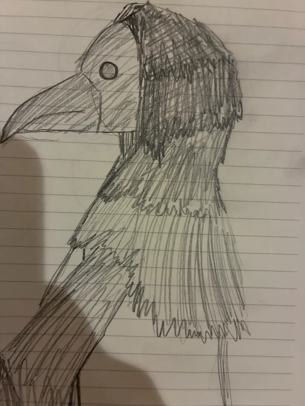 Beaked Silhouette