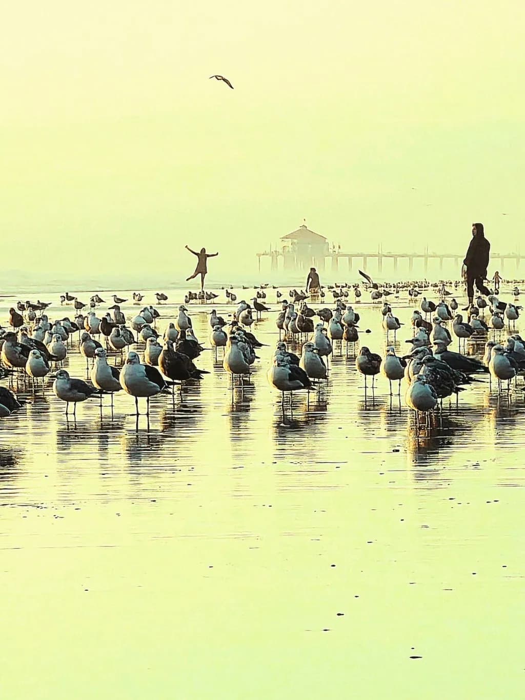 Coastal Gathering