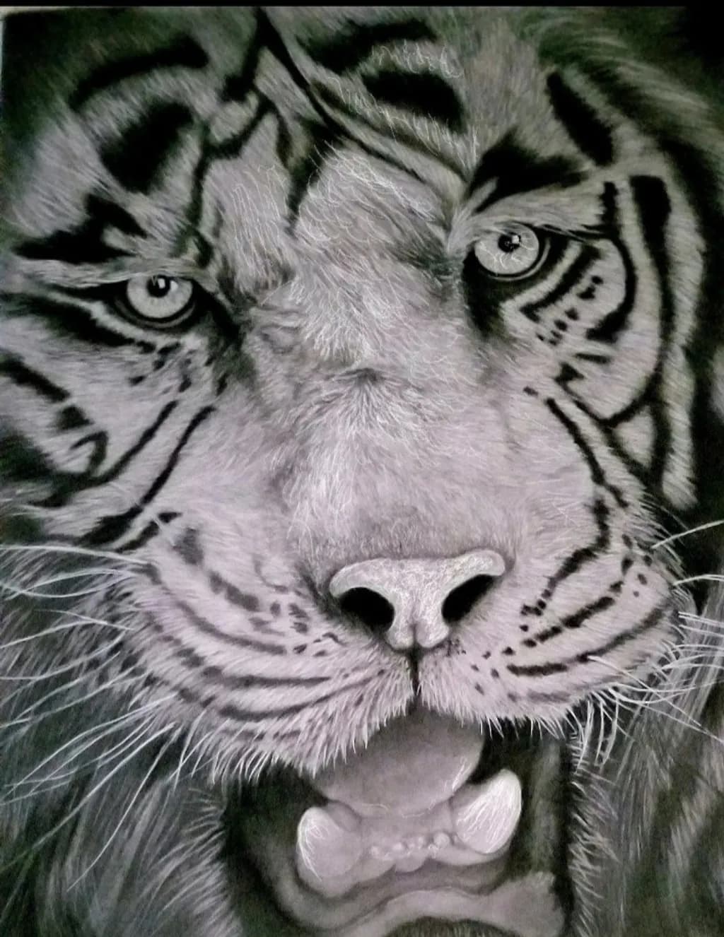 Monochrome Majesty