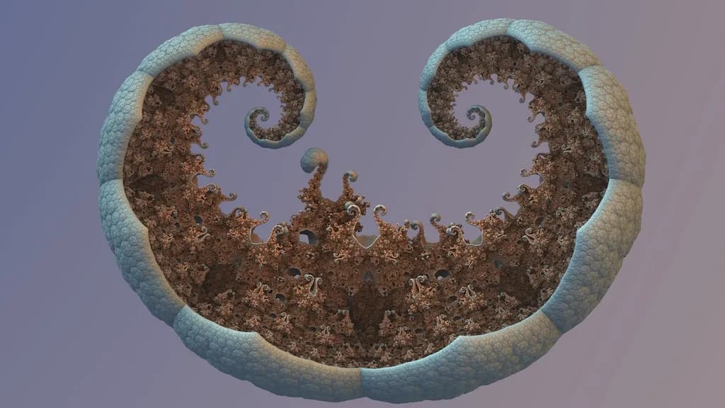 Absorb Spiral