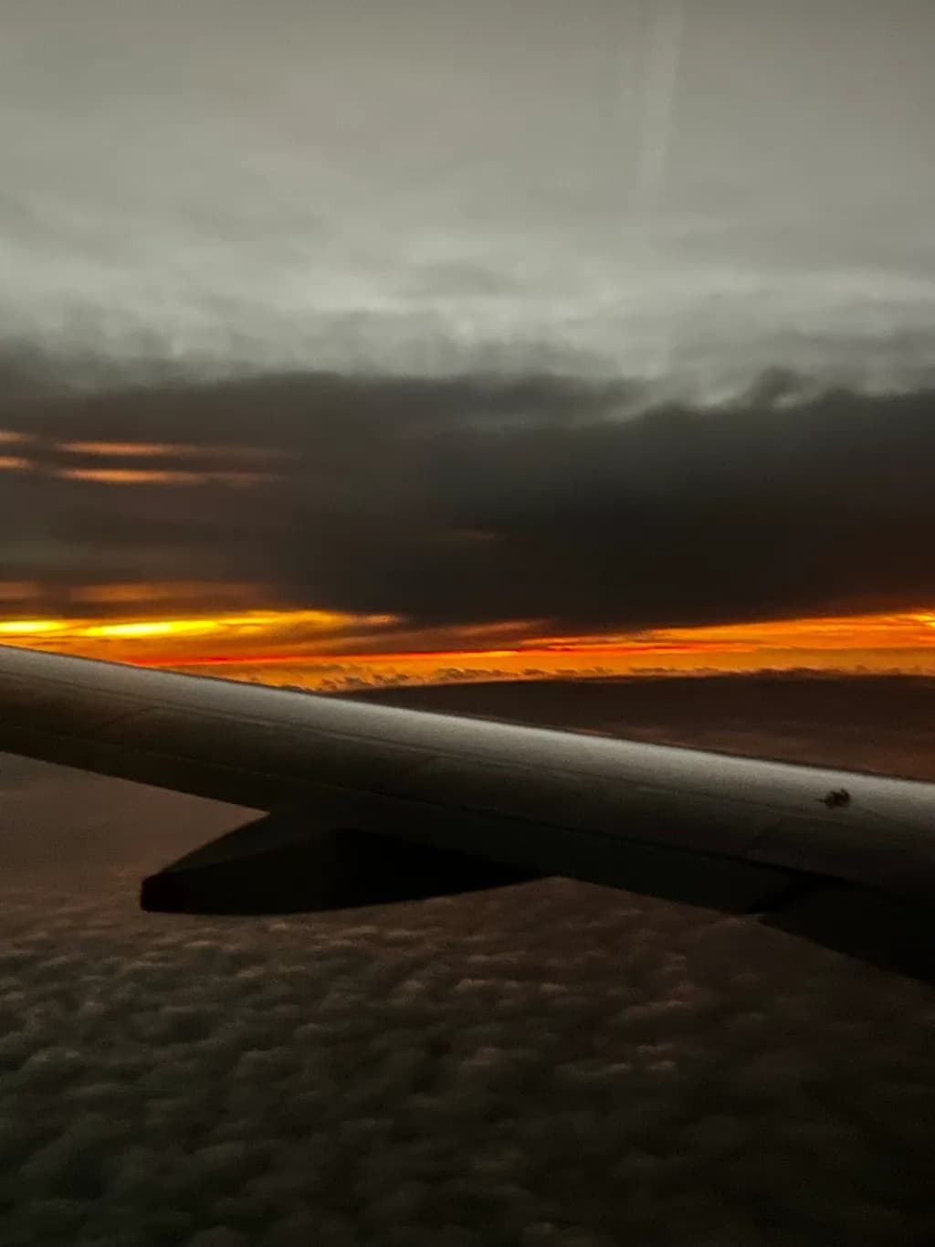 Dusk Flight