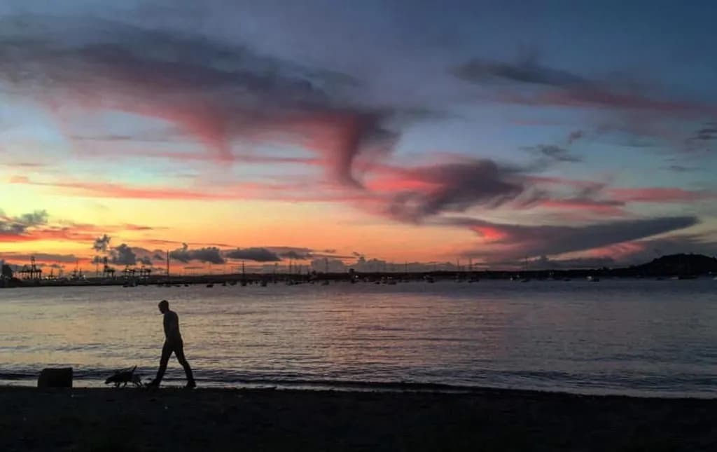 Dusk Stroll