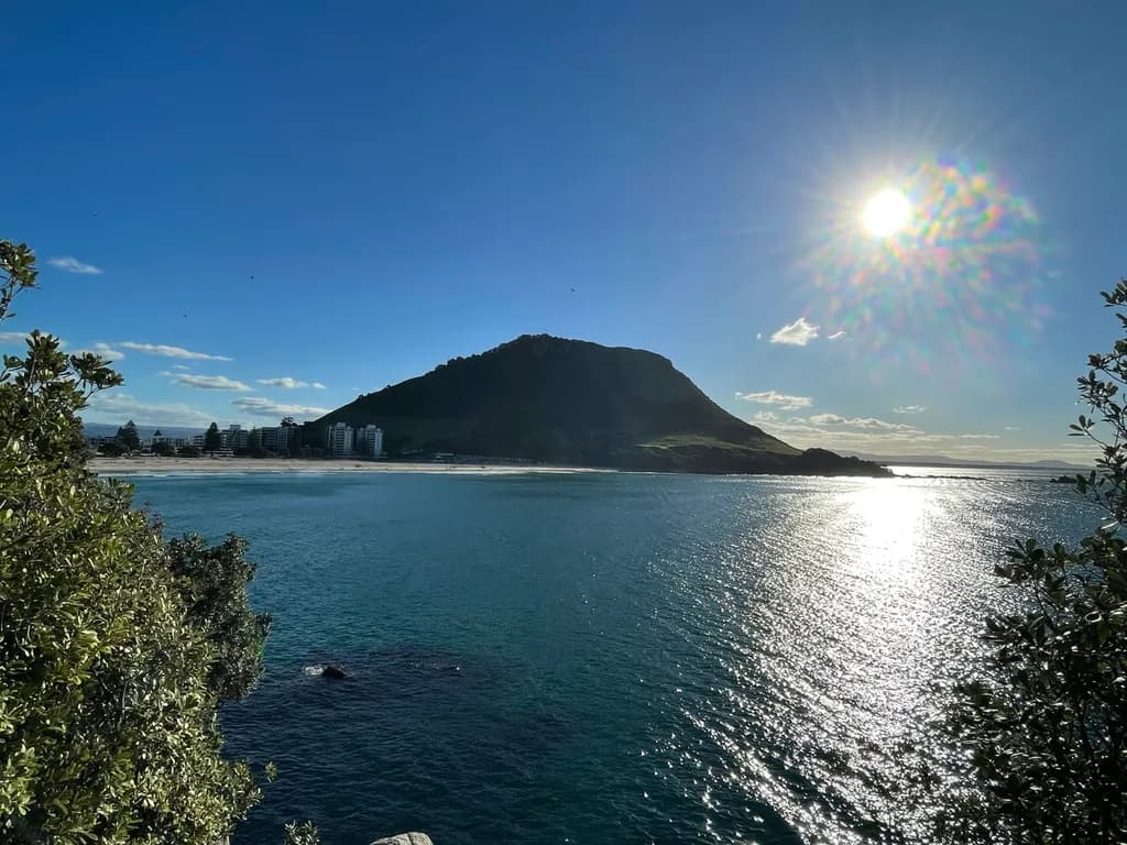 Sunlit Harbor View