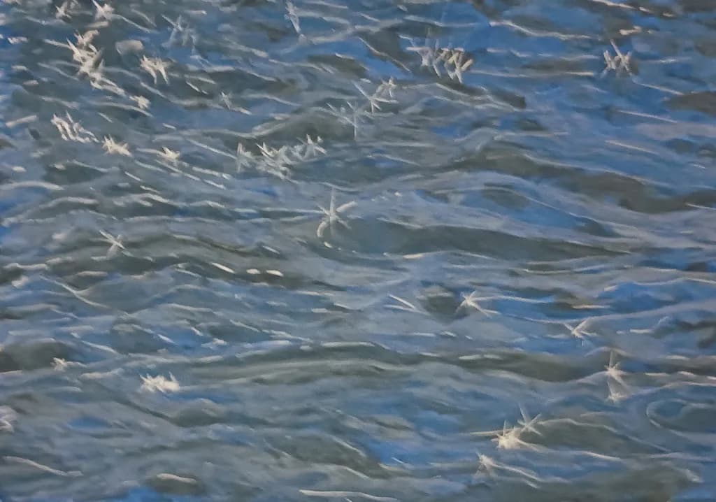 Rippled Reflections