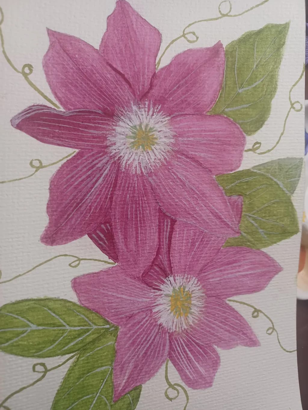 Pink Clematis Duo