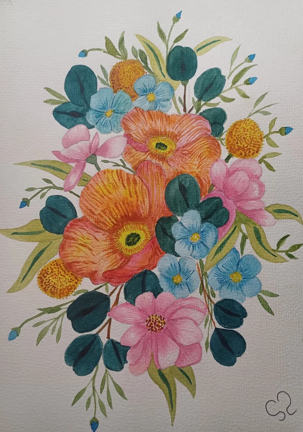Colorful Blooms