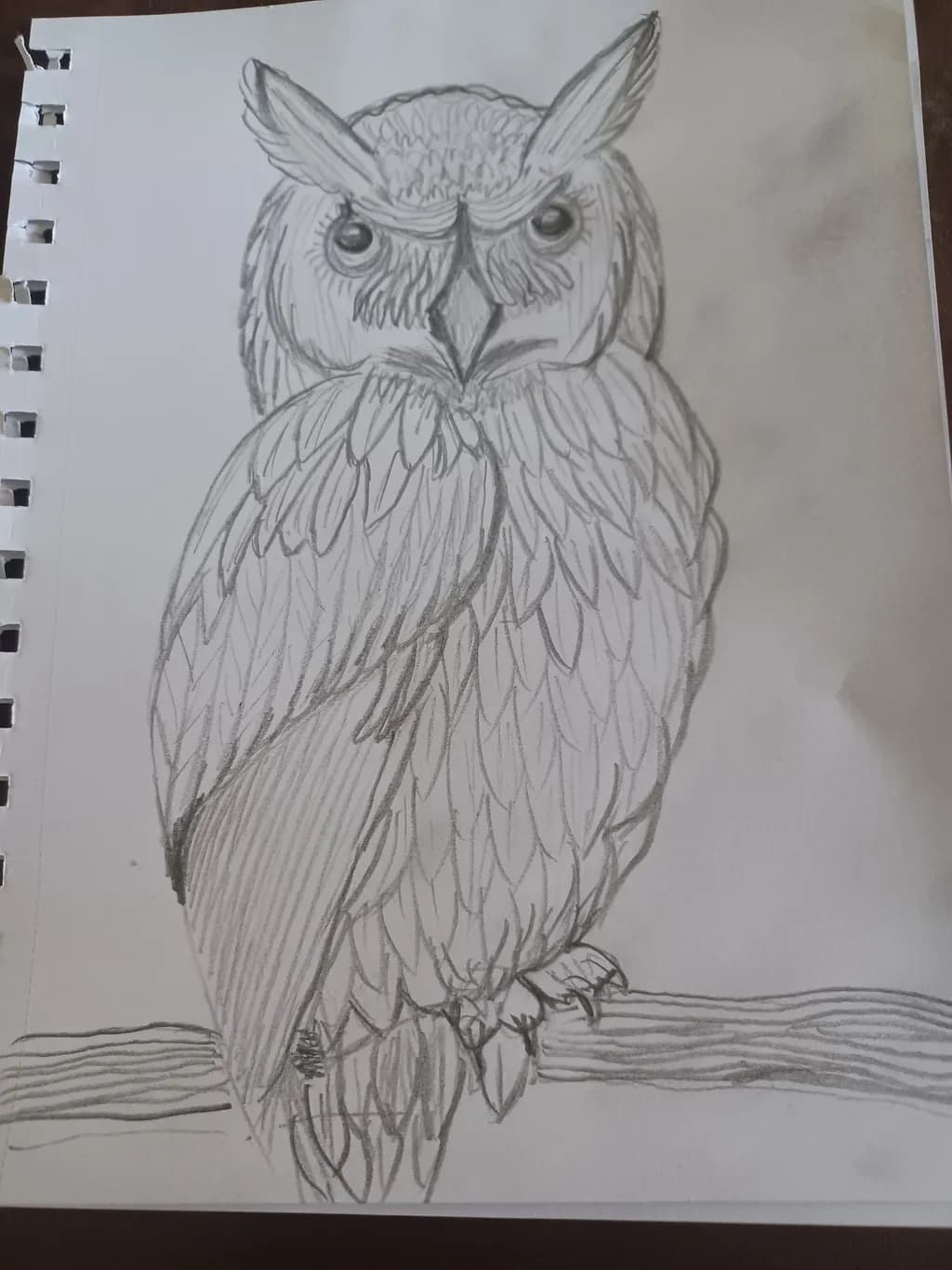 Perched Gaze