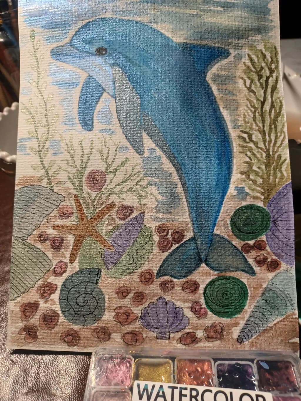Underwater Dolphin Haven