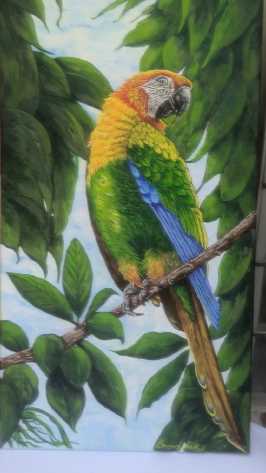 Colorful Parrot on Branch