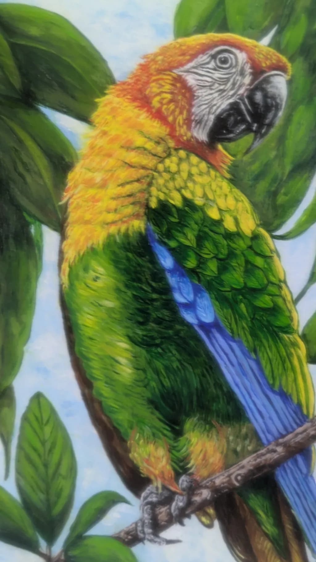 Tropical Parrot on Branch