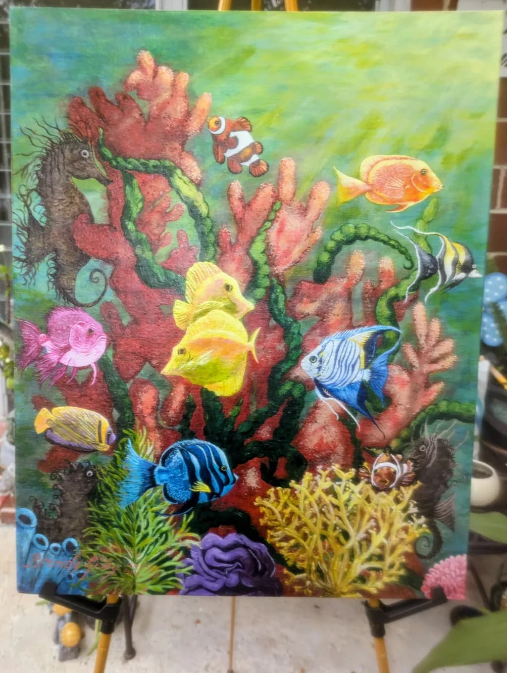 Coral Reef Life